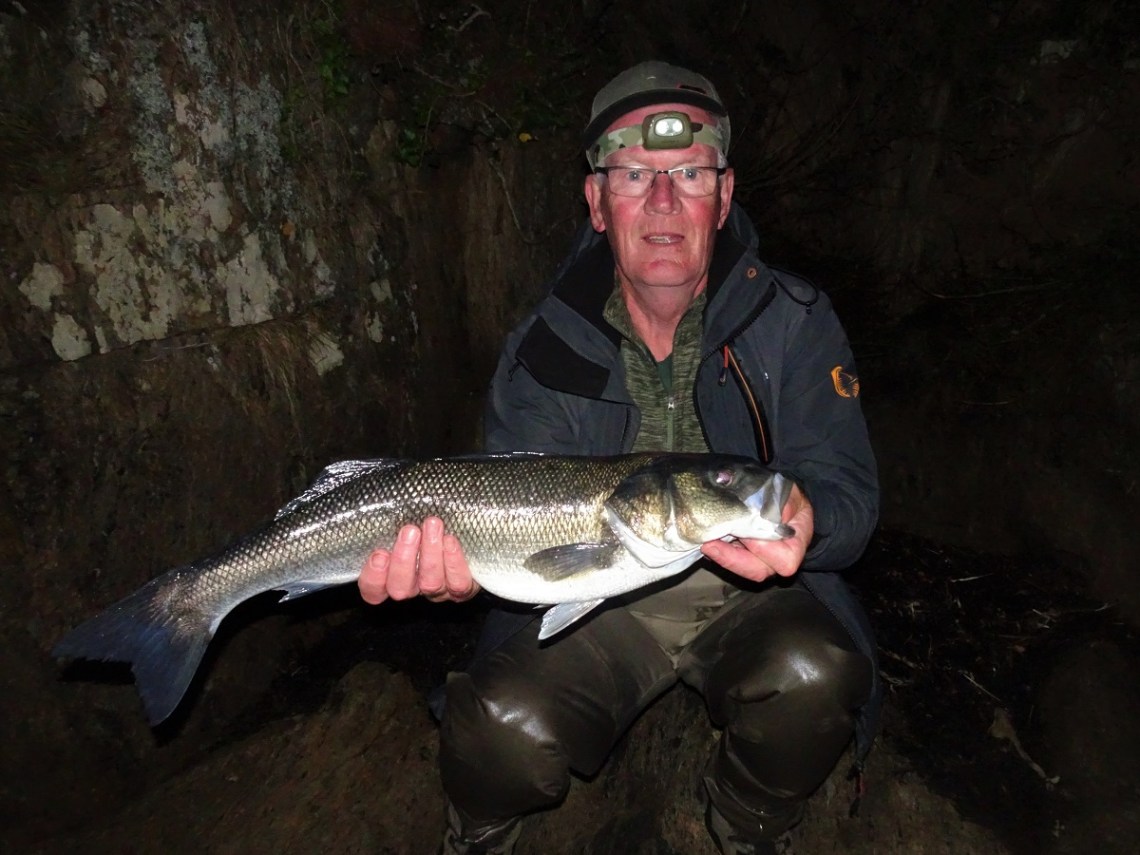 bass on lures in darkness under a full moon