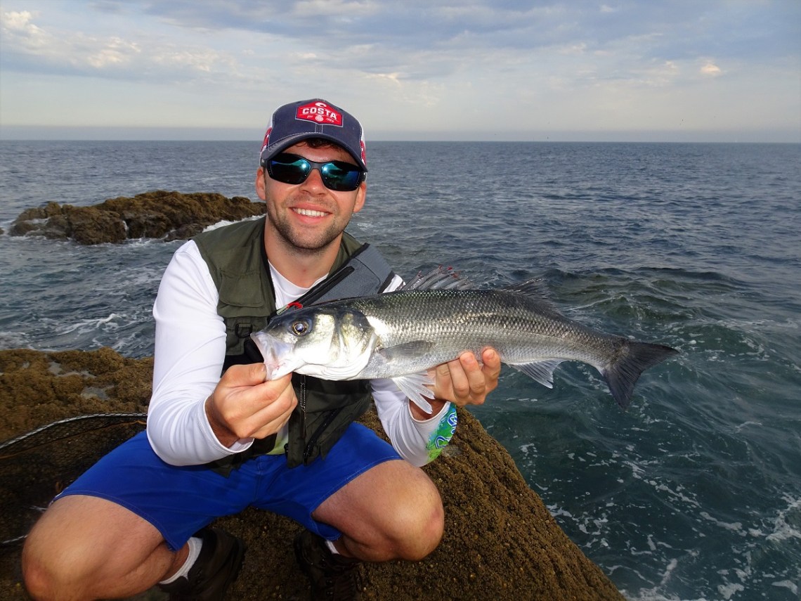 Bass on surface lures