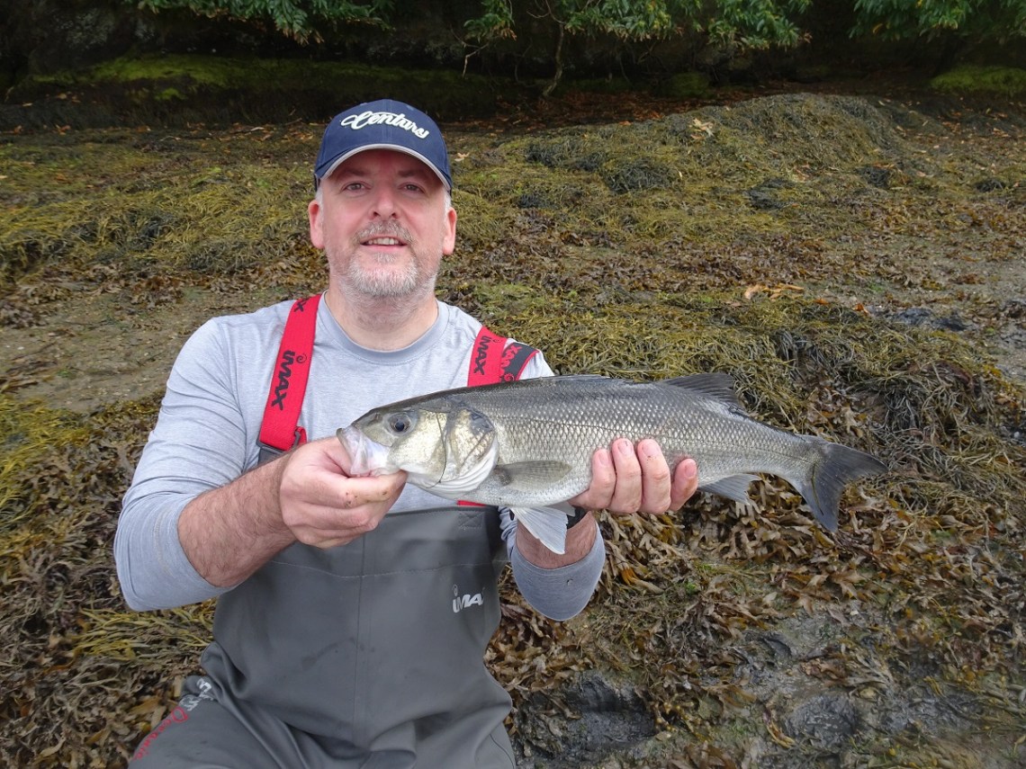 Bass caught on a Patchinko 100