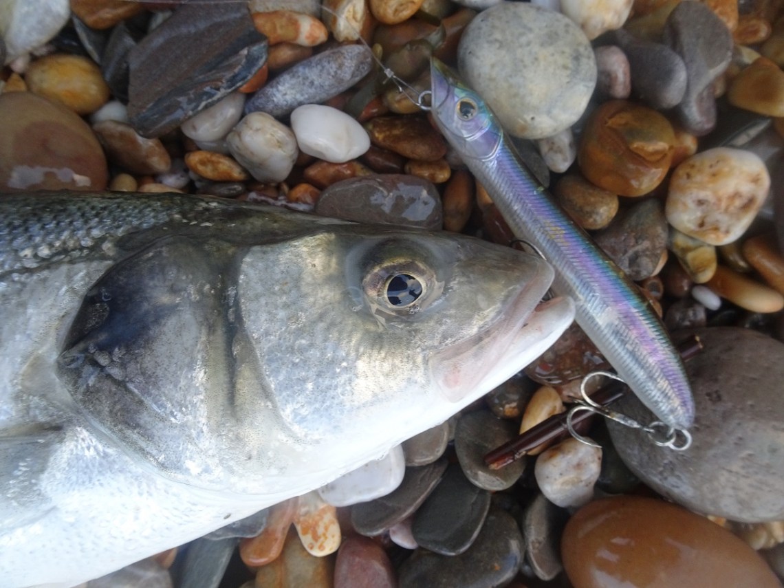 Bass caught on a Patchinko 125