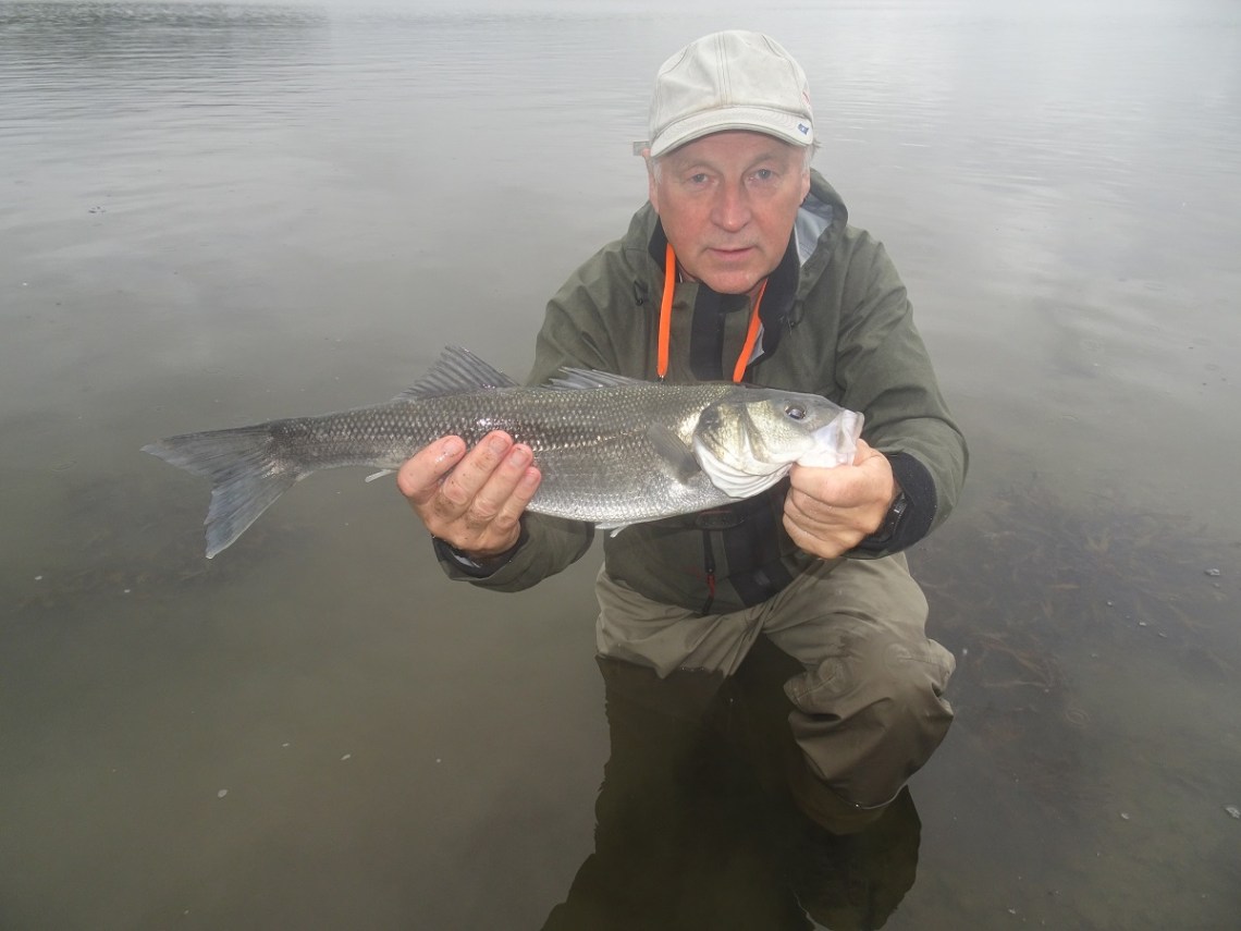 Bass on lures estuary