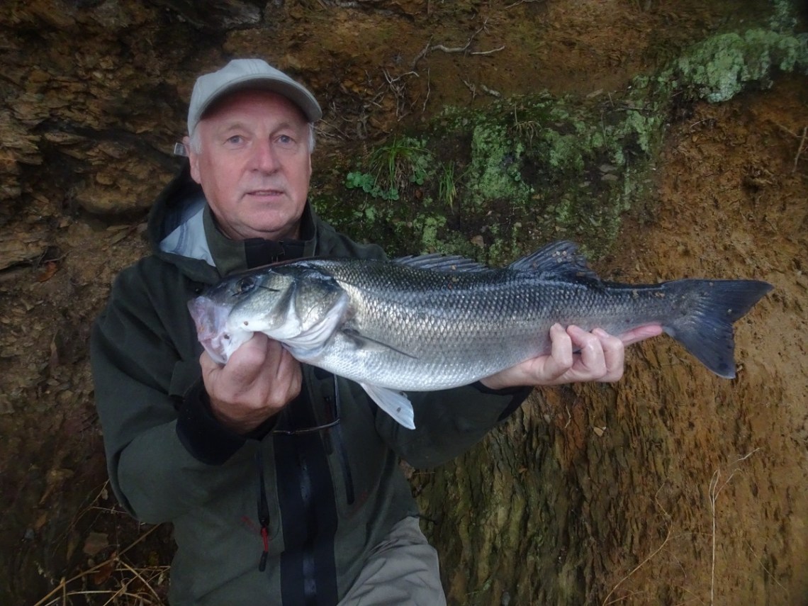 big devon lure caught bass