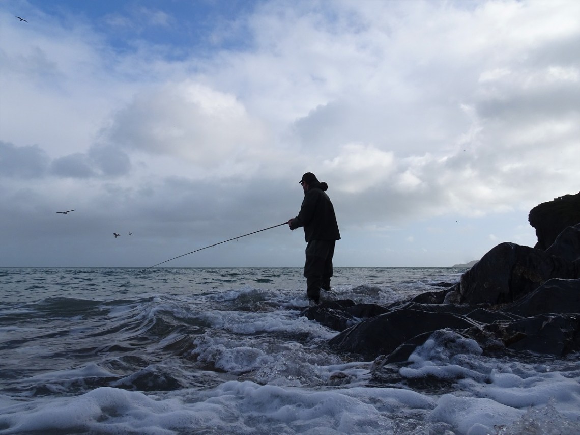 Gulls and terns and bass fishing