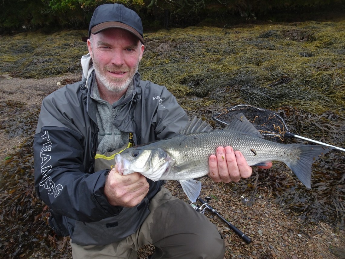 Lure caught estuary bass