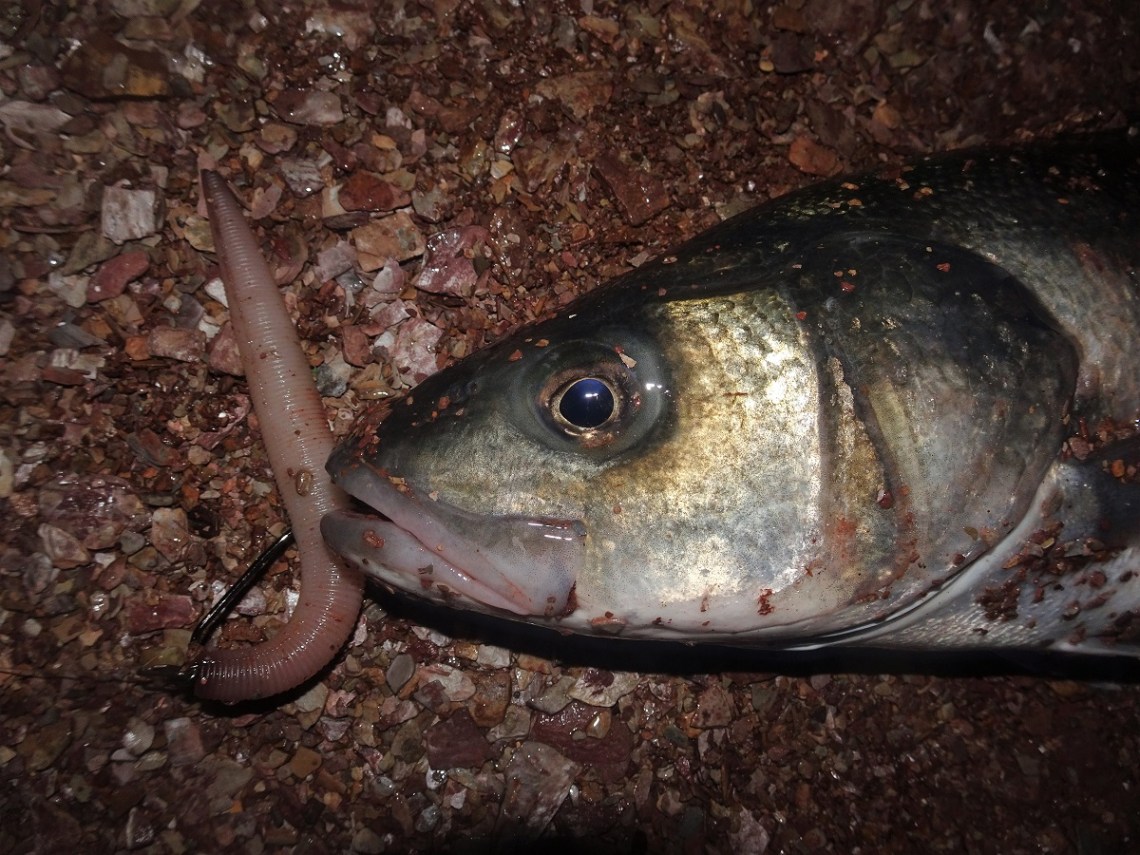 Insane Creations Bass Slayer