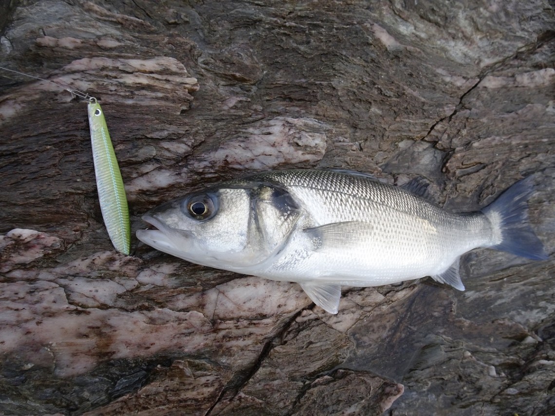 Savage Gear Seeker bass lure