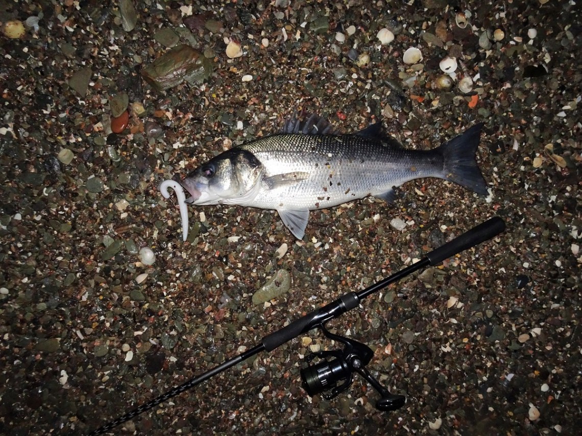 UK bass fishing winter