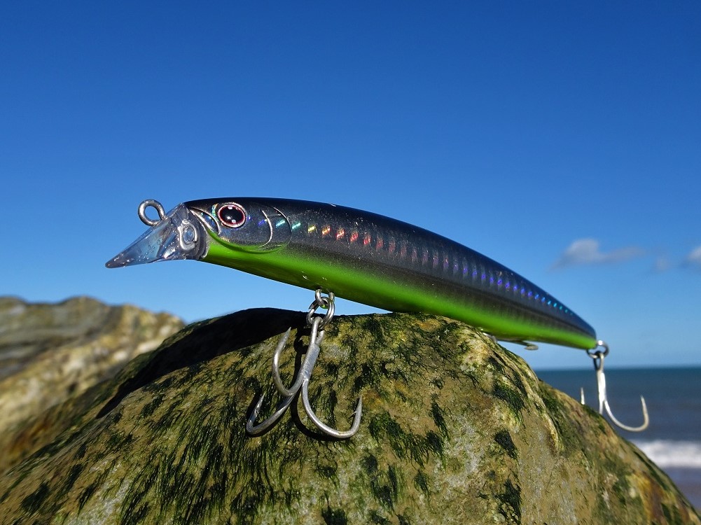 Daiwa Shoreline Shiner