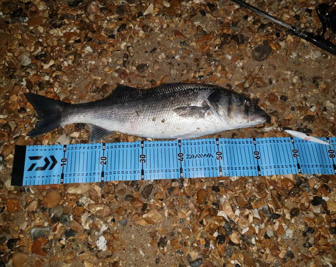 John Ratcliffe 64cm bass