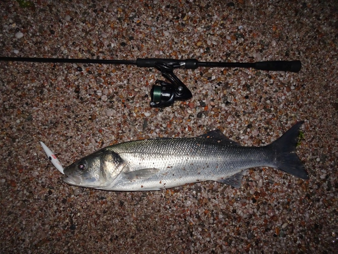 Needlefish lure by Marc Cowling
