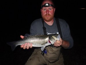 bass-on-white-dolive-stick-in-darkness