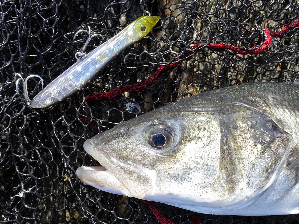 Patchinko 125 surface bass lure