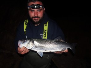 Good sized bass on lures in the dark