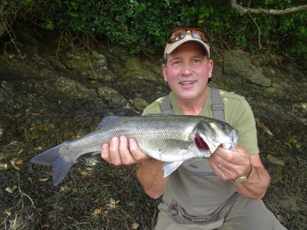 Estuary bass on lures