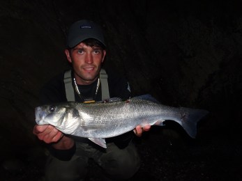 Night time bass on lures