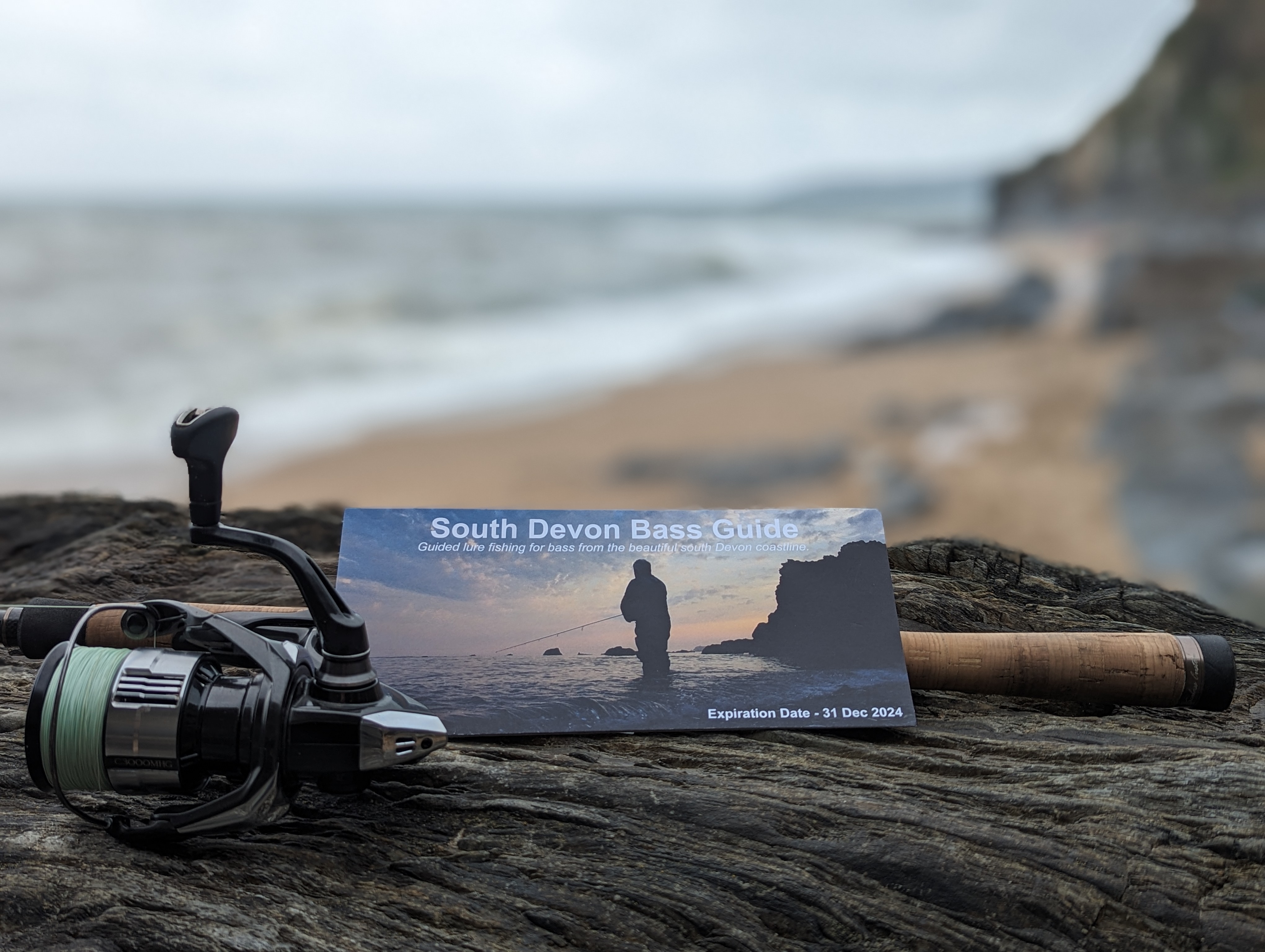 South Devon Bass Guide Ltd